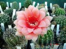 DSC01718