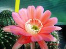 DSC01737