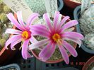 DSC01747