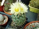 DSC01750