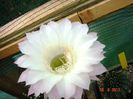 DSC01756