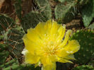 DSCF7215