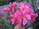DSC00837