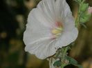 DSCN9566