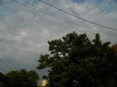 DSCN9574