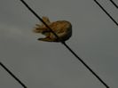 DSCN9575