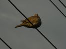 DSCN9576