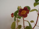 DSCF1031