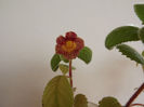 DSCF1034