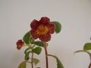 DSCF1035