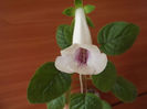 DSCF1016