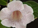 DSCF1041