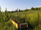 20130615_185429