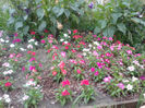 20130714_205905