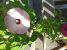 20130804_093827
