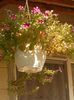 DSCN1401