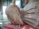 DSC00509