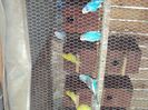 DSC00552