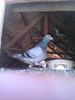 IMAG0035