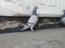 DSCN2396