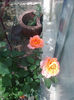 Fotografie0707