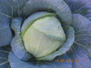 DSCN3948
