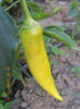 DSCN3954