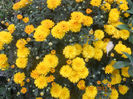 DSCN3941