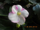 DSCN3970