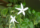 P1470266