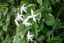 P1470255