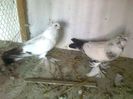 Photo0711