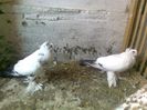 Photo0722