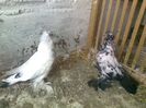 Photo0727