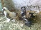 Photo0729