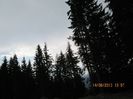 IMG_7781