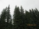 IMG_7775