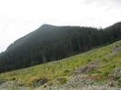 IMG_7718
