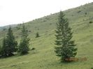 IMG_7708