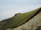 IMG_7685