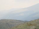 IMG_7675