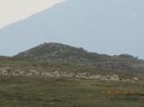 IMG_7650