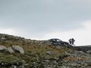 IMG_7588