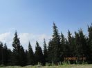 IMG_7520
