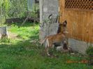 CIMG0678