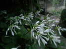 DSCN4904