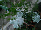 DSCN4905
