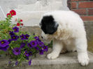 DSCN0521