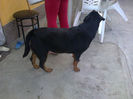 HERRA