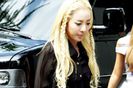 dara-3